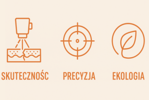 Czyszczenie laserem a usuwanie farb i lakierów