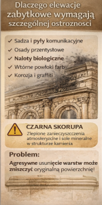 Elementor #2766 - Czyszczenie laserem